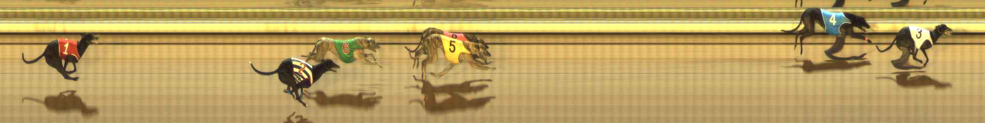 Photo finish for The Meadows Race 9