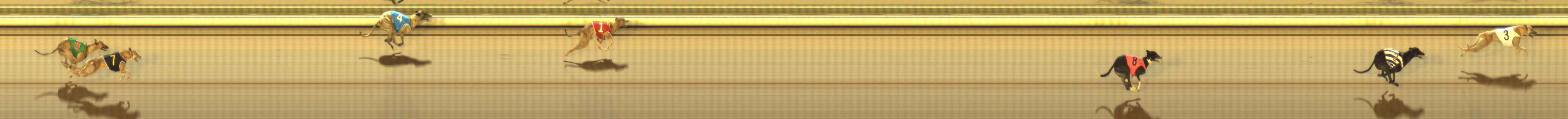 Photo finish for The Meadows Race 10