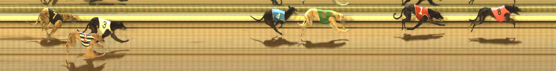 Photo finish for The Meadows Race 12