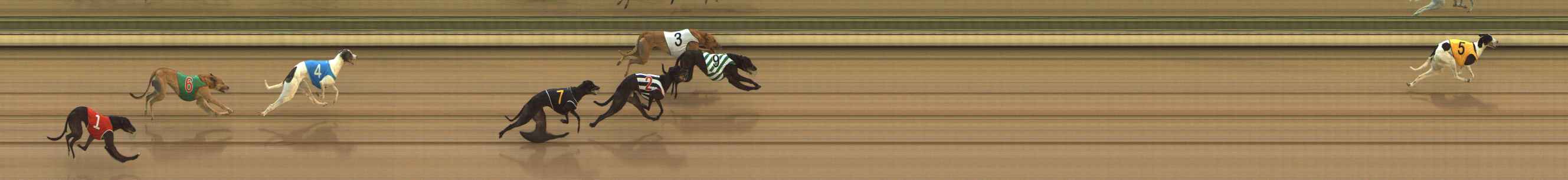 Photo finish for The Meadows Race 1