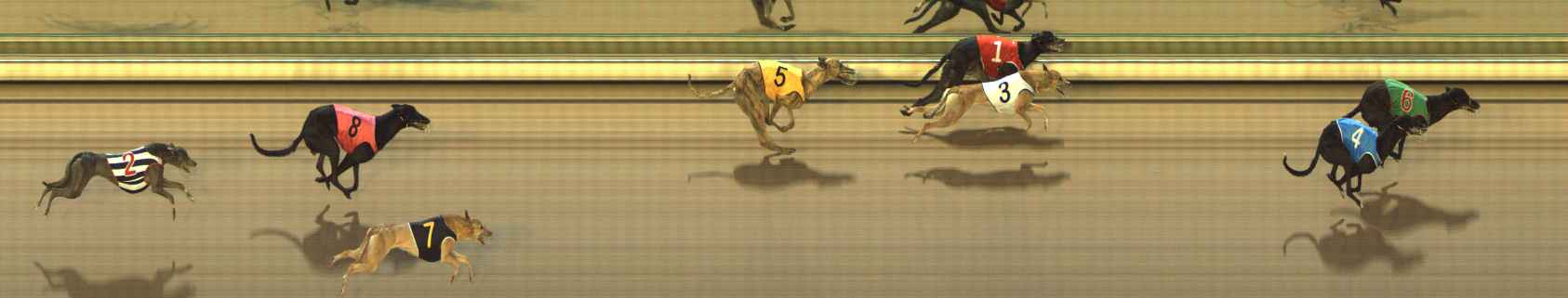 Photo finish for The Meadows Race 3