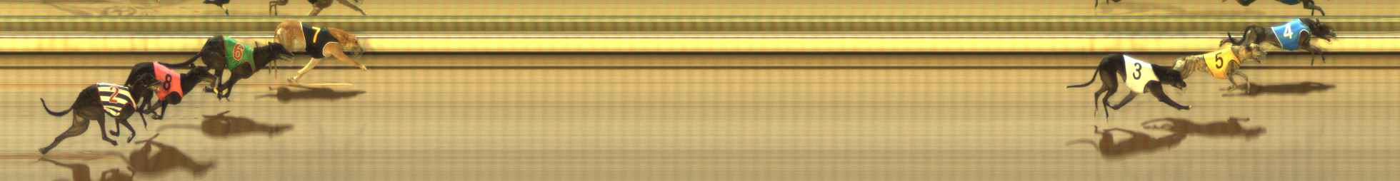 Photo finish for The Meadows Race 4
