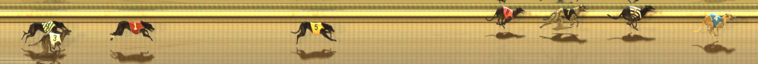 Photo finish for The Meadows Race 5