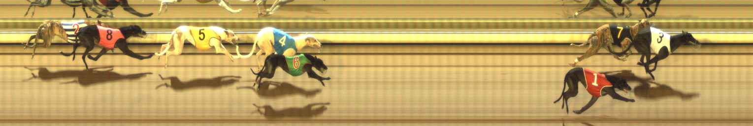 Photo finish for The Meadows Race 6
