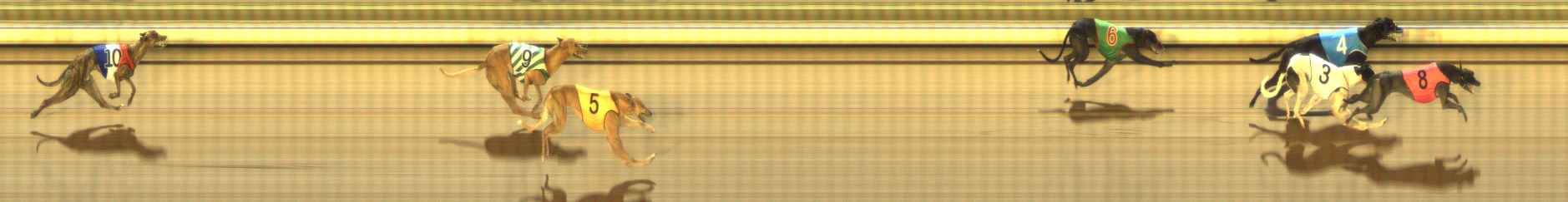 Photo finish for The Meadows Race 7
