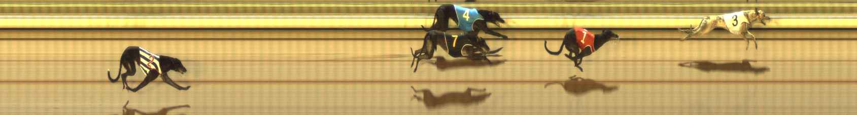 Photo finish for The Meadows Race 8