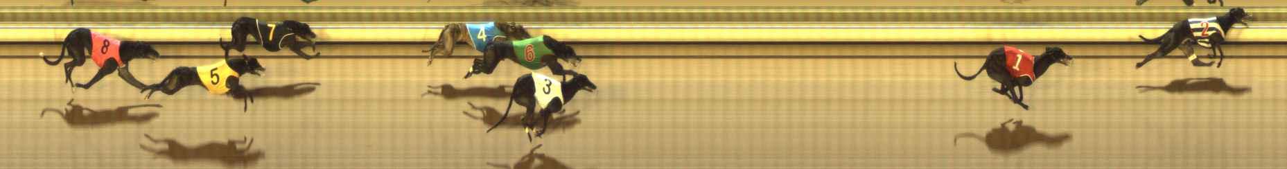 Photo finish for The Meadows Race 9