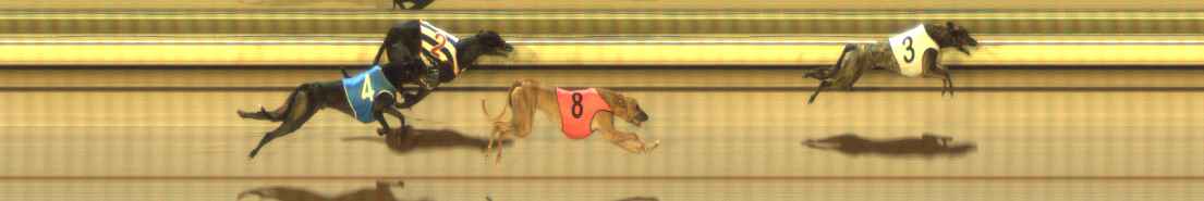 Photo finish for The Meadows Race 10