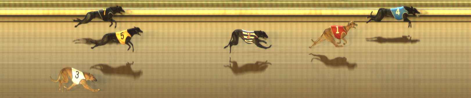 Photo finish for The Meadows Race 11