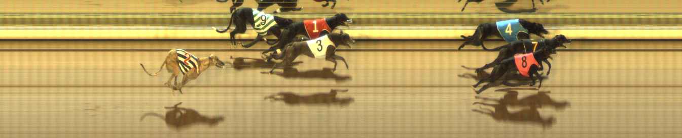 Photo finish for The Meadows Race 12