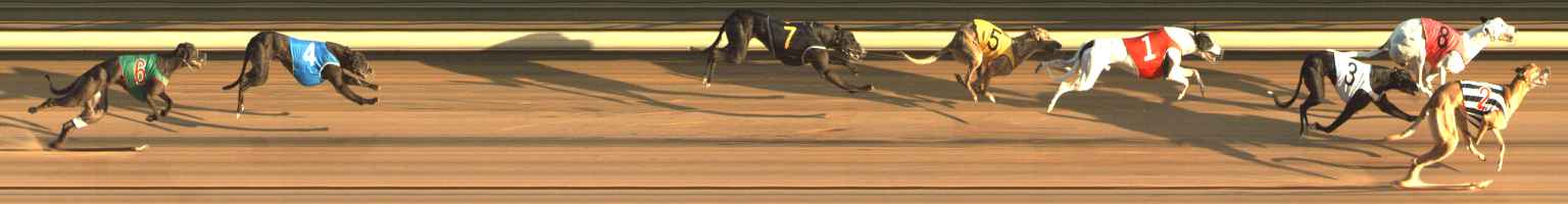 Photo finish for The Meadows Race 1