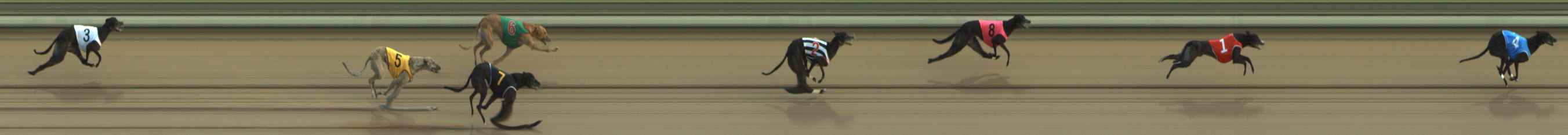 Photo finish for The Meadows Race 2