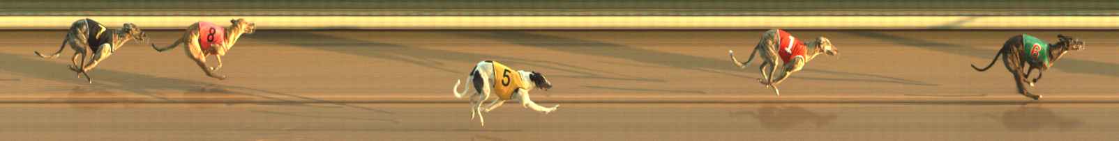 Photo finish for The Meadows Race 3
