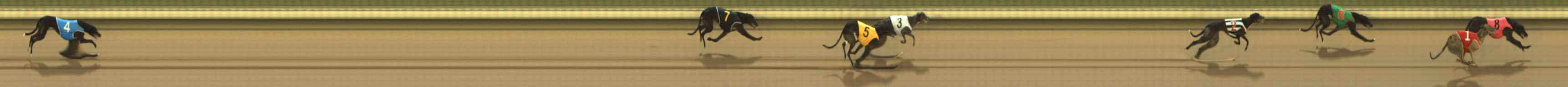 Photo finish for The Meadows Race 4