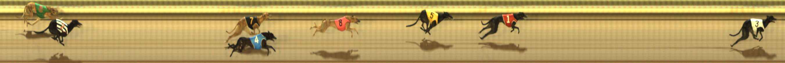 Photo finish for The Meadows Race 5