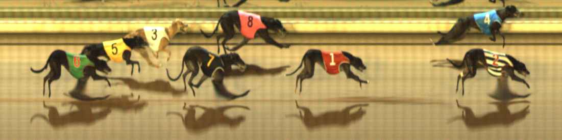 Photo finish for The Meadows Race 6