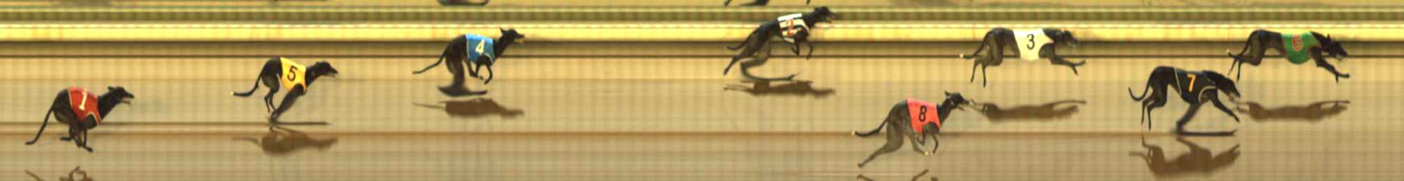 Photo finish for The Meadows Race 7