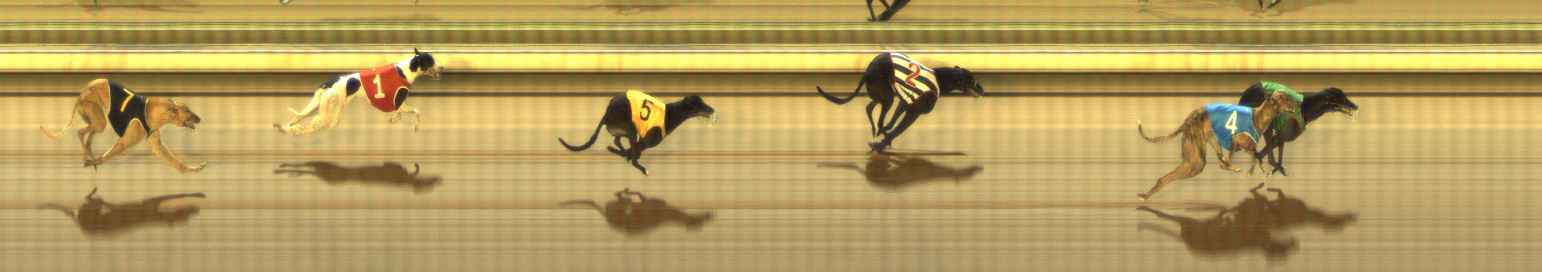 Photo finish for The Meadows Race 8