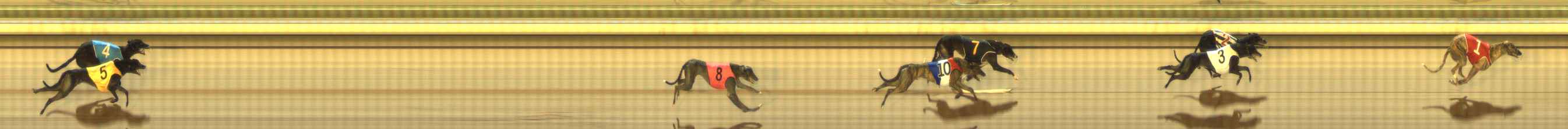 Photo finish for The Meadows Race 9