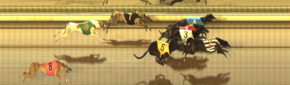 Photo finish for The Meadows Race 10