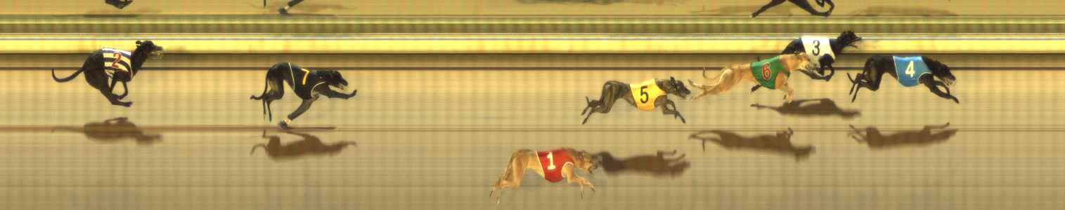 Photo finish for The Meadows Race 11