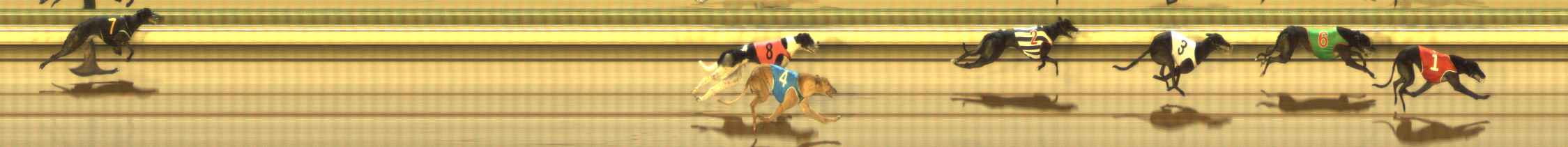 Photo finish for The Meadows Race 12
