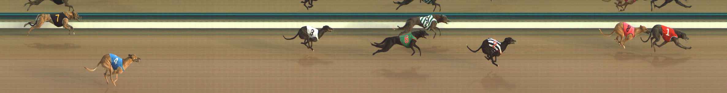 Photo finish for The Meadows Race 2