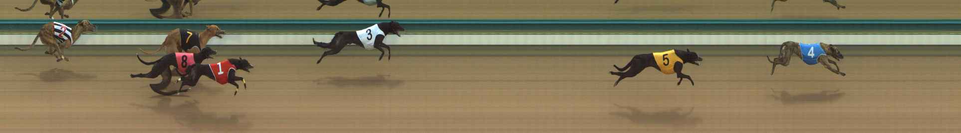 Photo finish for The Meadows Race 3