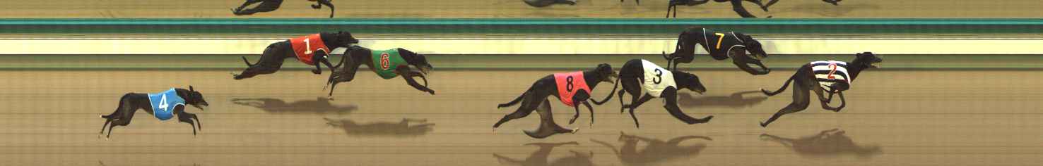 Photo finish for The Meadows Race 4