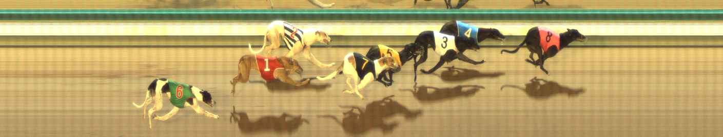 Photo finish for The Meadows Race 5