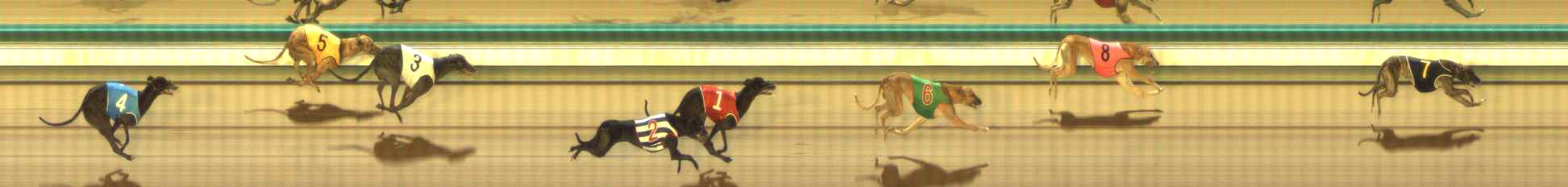 Photo finish for The Meadows Race 6