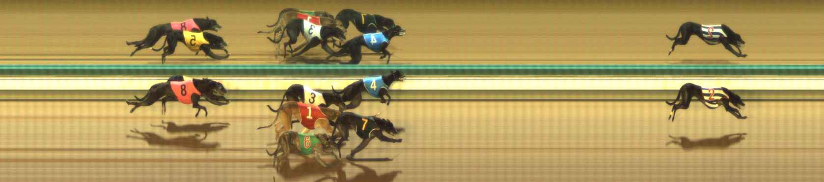 Photo finish for The Meadows Race 7