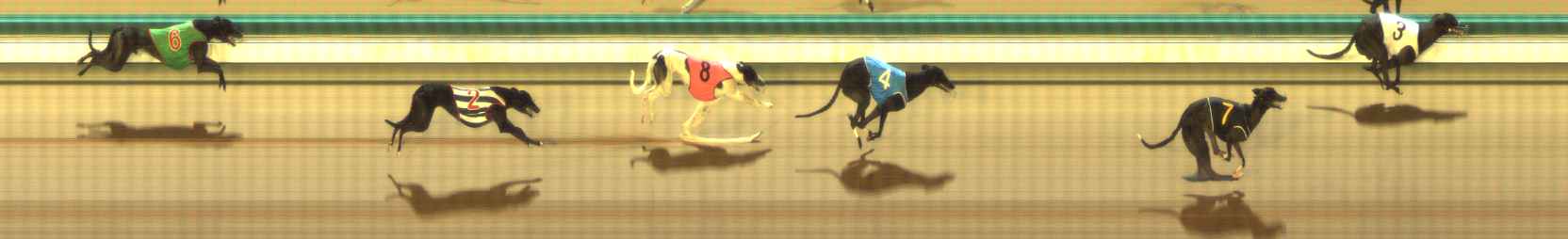 Photo finish for The Meadows Race 8