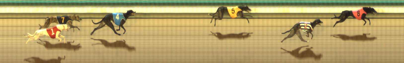 Photo finish for The Meadows Race 9