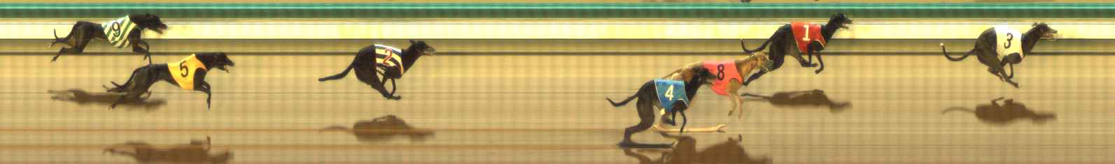 Photo finish for The Meadows Race 10