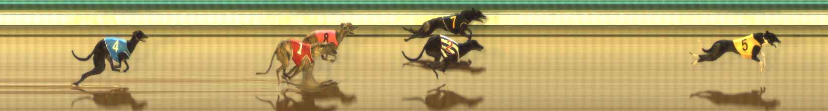 Photo finish for The Meadows Race 11