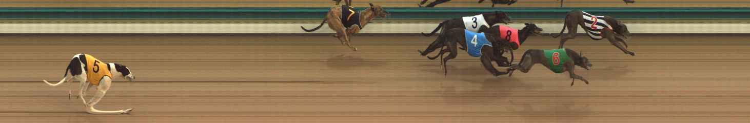 Photo finish for The Meadows Race 1
