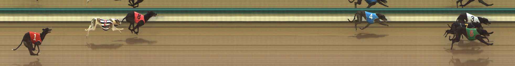 Photo finish for The Meadows Race 2
