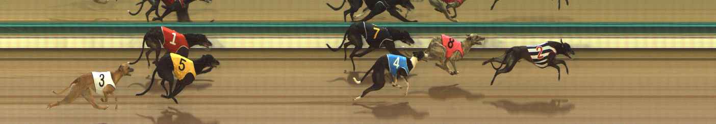 Photo finish for The Meadows Race 3