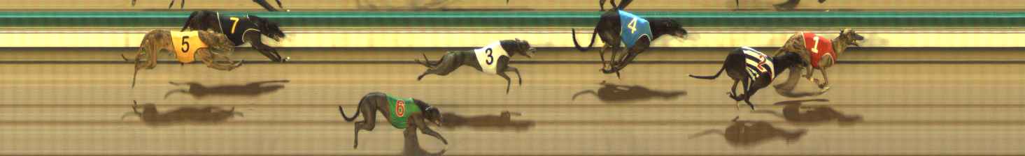 Photo finish for The Meadows Race 4