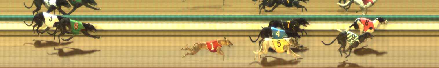 Photo finish for The Meadows Race 5
