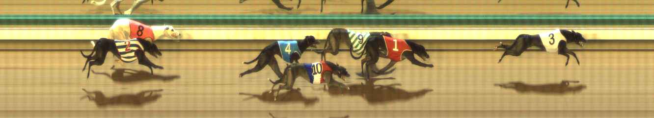 Photo finish for The Meadows Race 6