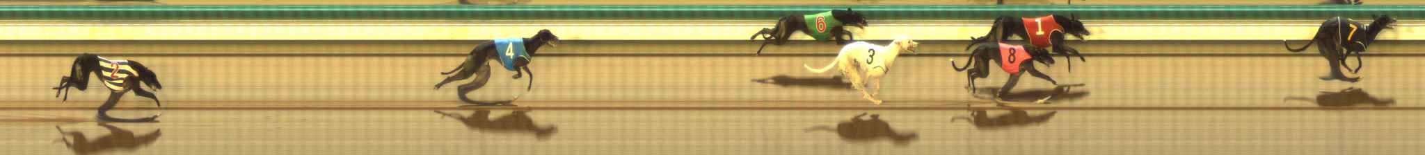 Photo finish for The Meadows Race 7