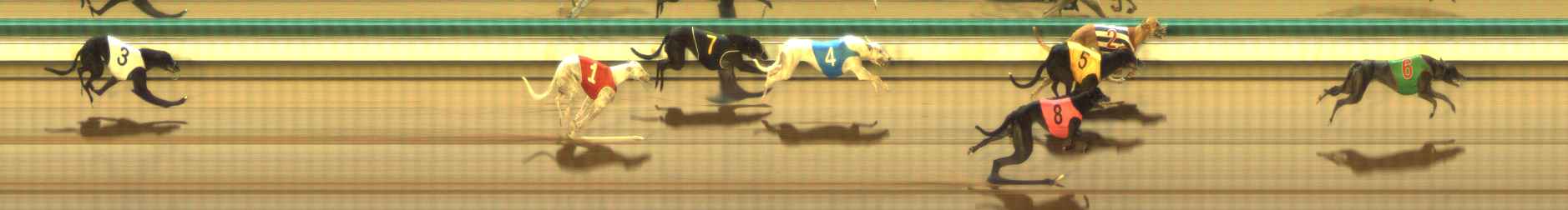 Photo finish for The Meadows Race 8