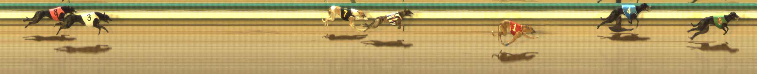 Photo finish for The Meadows Race 9