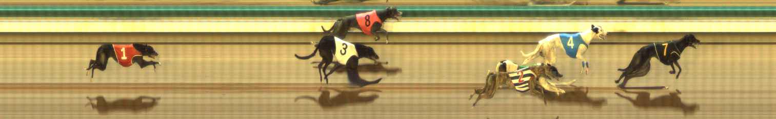 Photo finish for The Meadows Race 10
