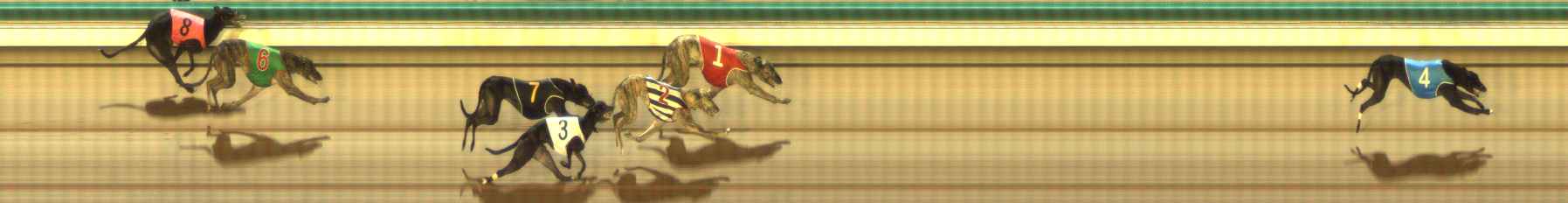 Photo finish for The Meadows Race 11