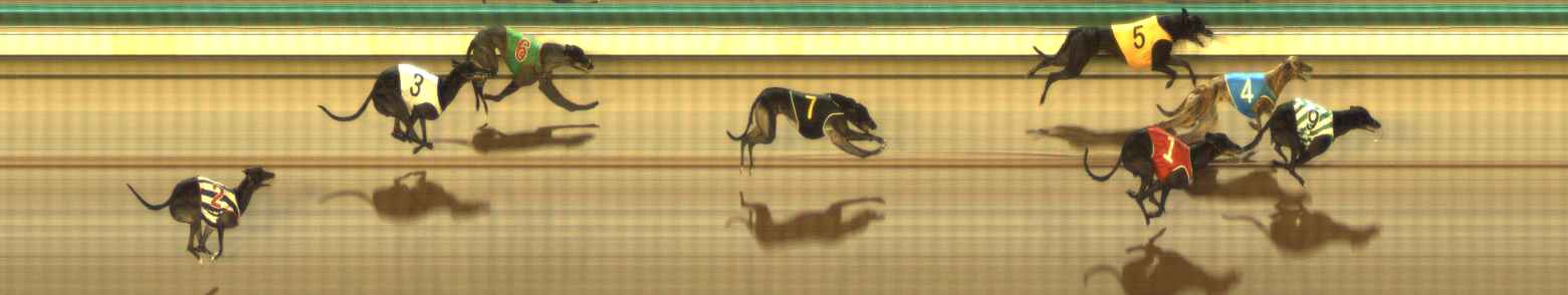 Photo finish for The Meadows Race 12