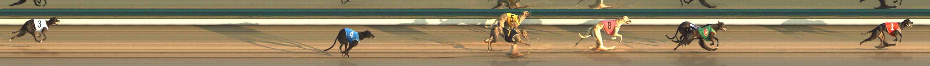 Photo finish for The Meadows Race 1