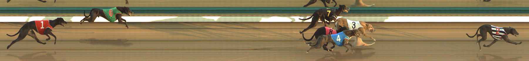 Photo finish for The Meadows Race 2